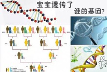 孩子智商、相貌、性格，是遗传了谁的基因？看看太准了！