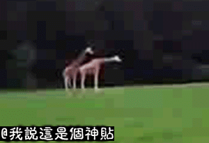 世上只有爸爸好.....娶了个老婆，结婚当晚我就后悔了 第8张