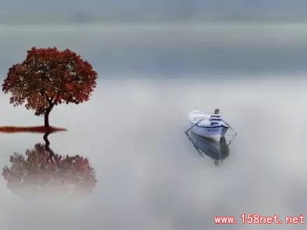 人不是活给别人看的，<span class='chameleon-code-v2'></span>再苦再累也要懂得安慰自己 第3张
