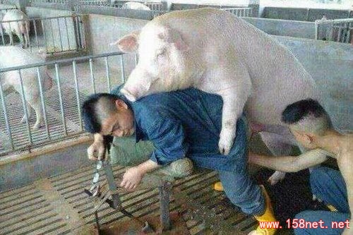 一定要忍住笑：我容易吗我.....说多了都是泪~~~  活着，<span class='chameleon-code-v2'></span>真心不容易！<span class='chameleon-code-v2'></span>！<span class='chameleon-code-v2'></span>！<span class='chameleon-code-v2'></span> 第16张