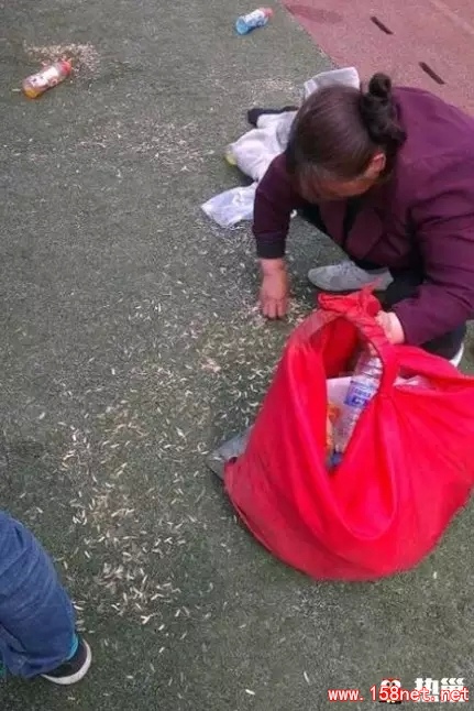 希望这些照片能够唤起你对生活的重新认识《生活并不总是美好，但请保留多一点关爱》 第4张