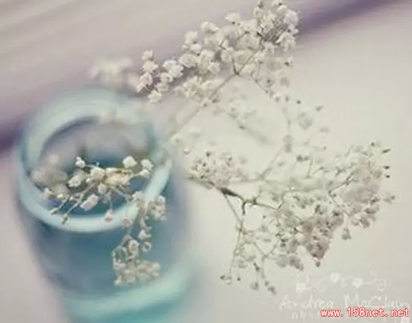 无论你遇见谁，他都是你生命该出现的人，绝非偶然，他一定会教会你一些什么 第1张