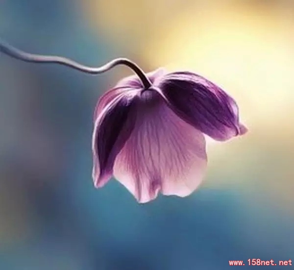 无论你遇见谁，他都是你生命该出现的人，绝非偶然，他一定会教会你一些什么 第2张