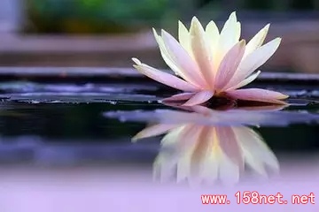 无论你遇见谁，他都是你生命该出现的人，绝非偶然，他一定会教会你一些什么 第5张