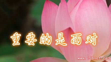 励志个人宣言集锦，每天看一遍！重要的还是要面对............ 第1张