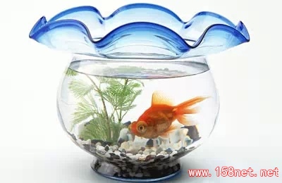 这12种东西千万不能送人，<span class='chameleon-code-v2'></span>送错了后果很严重！<span class='chameleon-code-v2'></span>不知道的一定要记住了 第4张