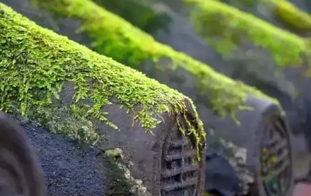 心态不好，你将永远是个弱者！心态决定一切........ 第1张