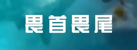 七种公司永远做不大，十种老板永远不成功！非常值得借鉴! 第13张